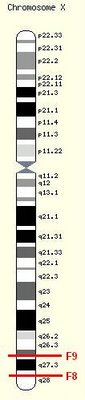 X chromosoma